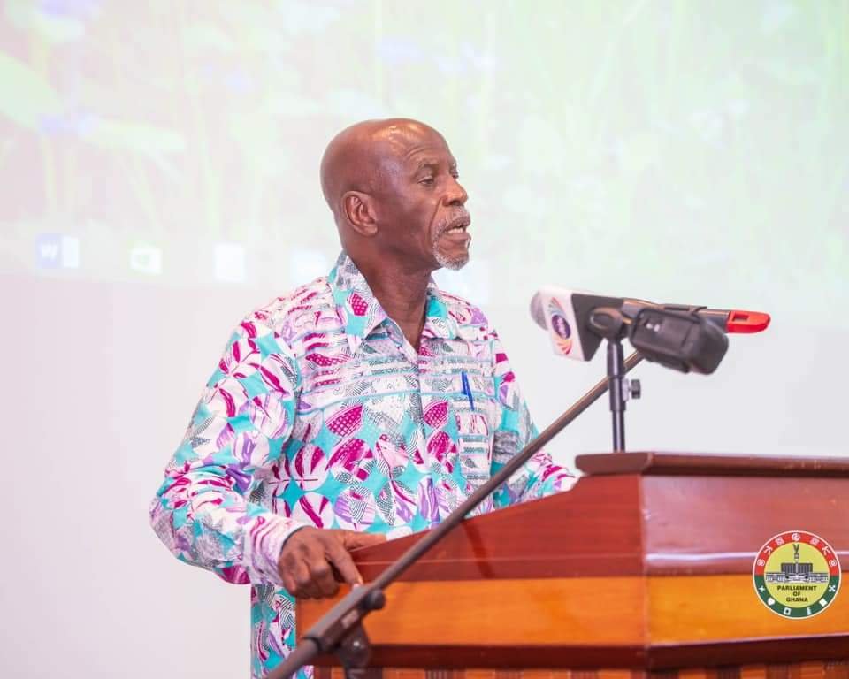 Akoto Ampaw Parliament